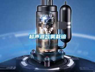 企業新聞超聲波氣霧栽培