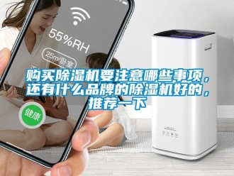 企業(yè)新聞購買除濕機要注意哪些事項，還有什么品牌的除濕機好的，推薦一下