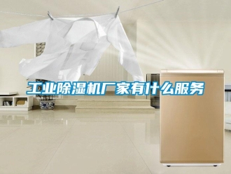 企業(yè)新聞工業(yè)除濕機(jī)廠(chǎng)家有什么服務(wù)