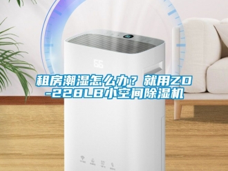 行業(yè)新聞租房潮濕怎么辦？就用ZD-228LB小空間除濕機(jī)