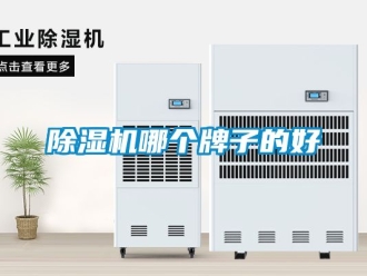 行業(yè)新聞除濕機哪個牌子的好