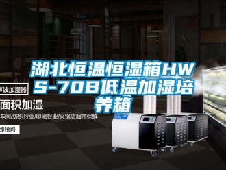 知識百科湖北恒溫恒濕箱HWS-70B低溫加濕培養箱