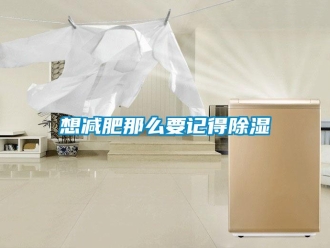 知識百科想減肥那么要記得除濕