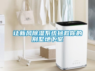 行業(yè)新聞讓新風(fēng)除濕系統(tǒng)拯救你的別墅地下室