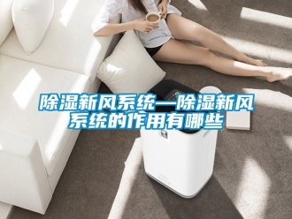 行業(yè)新聞除濕新風(fēng)系統(tǒng)—除濕新風(fēng)系統(tǒng)的作用有哪些