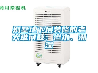 企業(yè)新聞別墅地下層裝修的老大難問題：滲水、潮濕