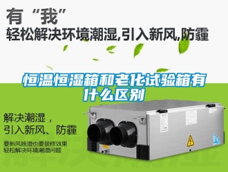知識百科恒溫恒濕箱和老化試驗箱有什么區別