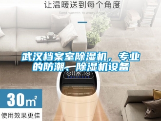 行業(yè)新聞武漢檔案室除濕機，專業(yè)的防潮、除濕機設(shè)備