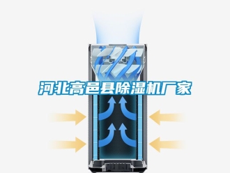 企業新聞河北高邑縣除濕機廠家