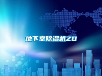 行業(yè)新聞地下室除濕機ZD