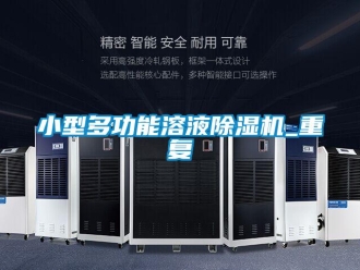行業新聞小型多功能溶液除濕機_重復