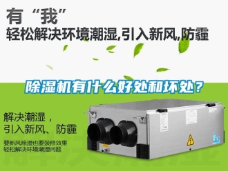 行業(yè)新聞除濕機(jī)有什么好處和壞處？