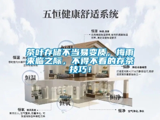 企業(yè)新聞茶葉存儲不當易變質，梅雨來臨之際，不得不看的存茶技巧！