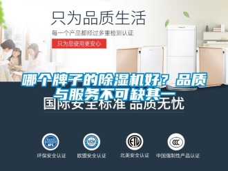 行業(yè)新聞哪個(gè)牌子的除濕機(jī)好？品質(zhì)與服務(wù)不可缺其一