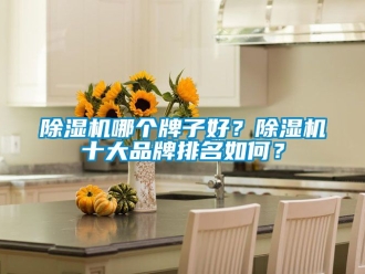 企業(yè)新聞除濕機哪個牌子好？除濕機十大品牌排名如何？