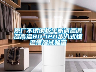 知識百科原廠不銹鋼板平衡調(diào)溫調(diào)濕高溫80-120步入式恒溫恒濕試驗箱