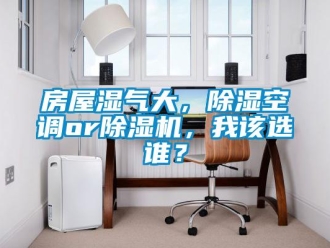 行業(yè)新聞房屋濕氣大，除濕空調(diào)or除濕機(jī)，我該選誰？
