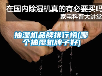 企業新聞抽濕機品牌排行榜(哪個抽濕機牌子好)