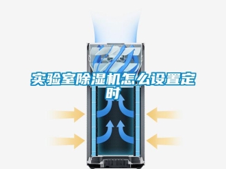 行業(yè)新聞實(shí)驗(yàn)室除濕機(jī)怎么設(shè)置定時