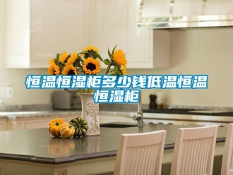 知識百科恒溫恒濕柜多少錢低溫恒溫恒濕柜