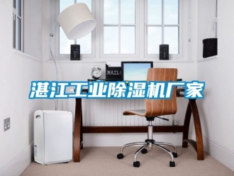 企業新聞湛江工業除濕機廠家