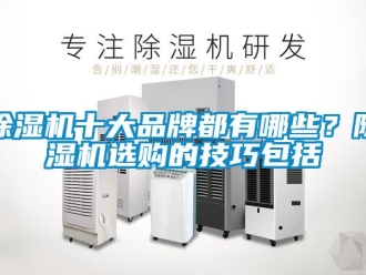 企業新聞除濕機十大品牌都有哪些？除濕機選購的技巧包括