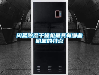 知識(shí)百科閃蒸除濕干燥機(jī)是具有哪些明顯的特點(diǎn)
