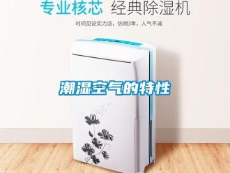 企業新聞潮濕空氣的特性