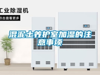 行業新聞混泥土養護室加濕的注意事項