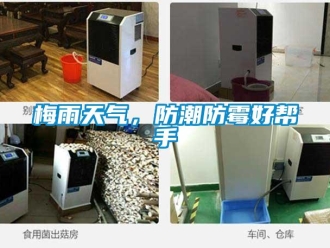 行業新聞梅雨天氣，防潮防霉好幫手