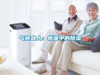 行業新聞氣候宜人：帳篷中的除濕