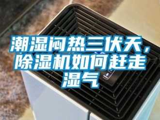 企業新聞潮濕悶熱三伏天，除濕機如何趕走濕氣