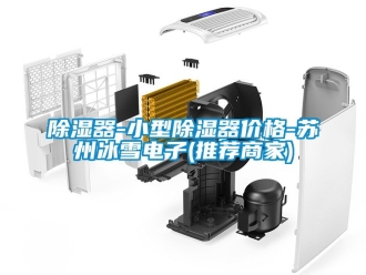 行業新聞除濕器-小型除濕器價格-蘇州冰雪電子(推薦商家)