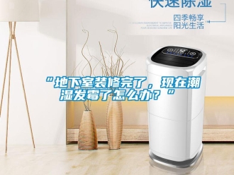 企業新聞“地下室裝修完了，現在潮濕發霉了怎么辦？”