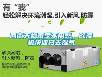 行業新聞回南天梅雨季不用愁，除濕機快速掃去濕氣