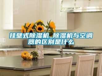 行業新聞掛壁式除濕機_除濕機與空調器的區別是什么