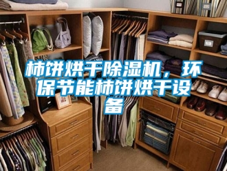 行業新聞柿餅烘干除濕機，環保節能柿餅烘干設備