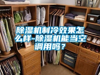 行業(yè)新聞除濕機制冷效果怎么樣-除濕機能當(dāng)空調(diào)用嗎？