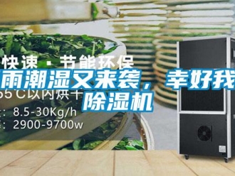 知識(shí)百科陰雨潮濕又來襲，幸好我有除濕機(jī)