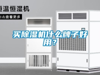 行業(yè)新聞買除濕機(jī)什么牌子好用？