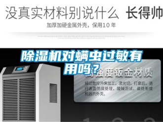 行業新聞除濕機對螨蟲過敏有用嗎？