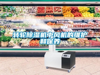 知識百科轉輪除濕機中風機的維護和保養