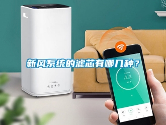 企業新聞新風系統的濾芯有哪幾種？