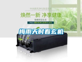 行業新聞梅雨天時看玄機