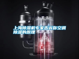 知識百科上海除濕機專家告訴你空調除濕的原理