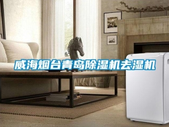 行業(yè)新聞威海煙臺青島除濕機(jī)去濕機(jī)