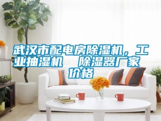 企業新聞武漢市配電房除濕機，工業抽濕機  除濕器廠家 價格