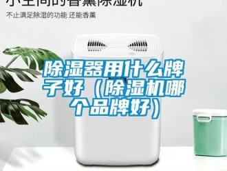 企業新聞除濕器用什么牌子好（除濕機哪個品牌好）