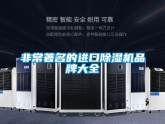 企業新聞非常著名的進口除濕機品牌大全