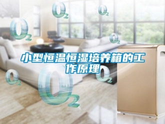 知識百科小型恒溫恒濕培養(yǎng)箱的工作原理